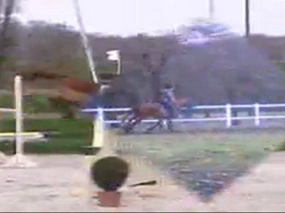 Prestige du Mesnil - Poney à vendre