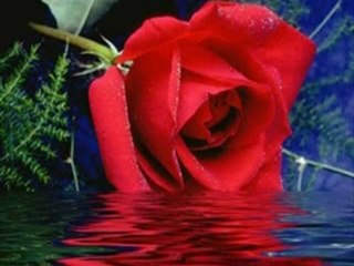 03. Ercan Demirel - Ayrilmamki Severken