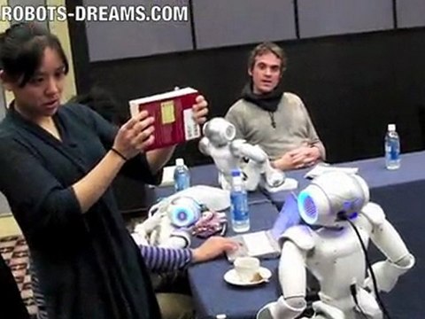 NAO Robot Vision System Recognition and Tracking