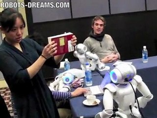 NAO Robot Vision System Recognition and Tracking