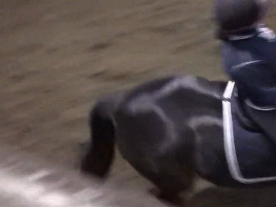 galop stage 4 mars 2011