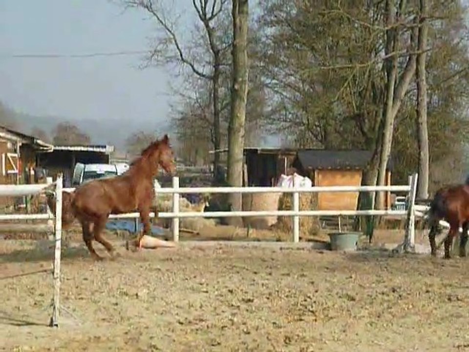 Samedi matin au soleil