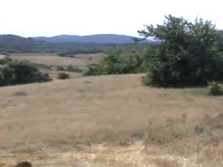 Sönmez Aldemir den Güzel bir Yorum