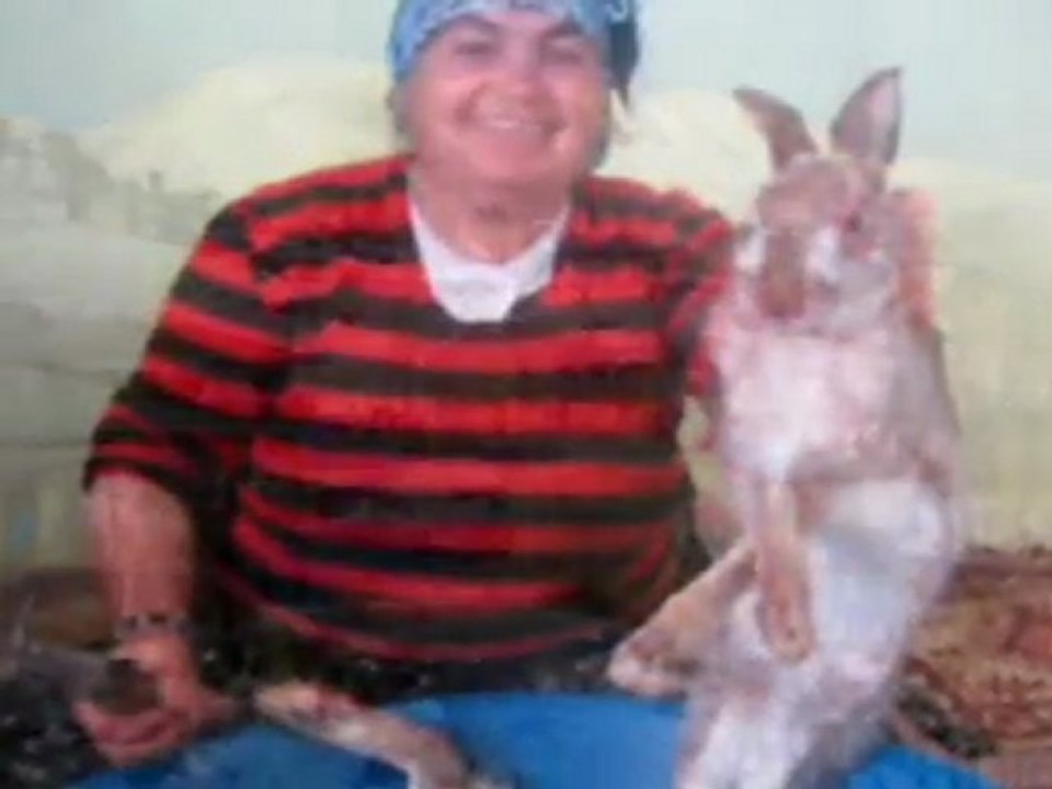 Nedim varol,Tufanbeyli,Adana,Hamza bilge.2011