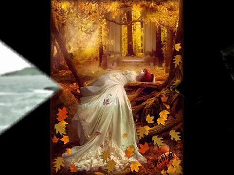 Farid Farjad - Golha