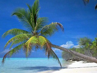 Mawla ya salli wa sallim