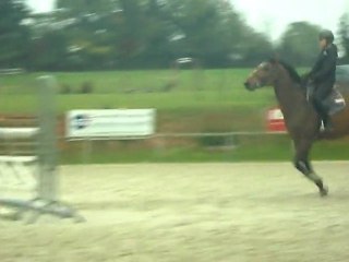 paradize 1er coup de coeur :)