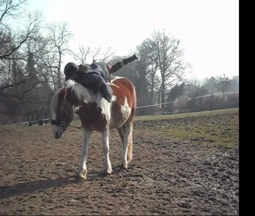 Vacances février mars 2011