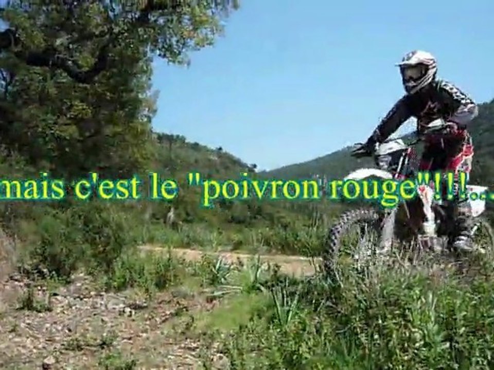 ces mecs là...ils sont terribles!!!...