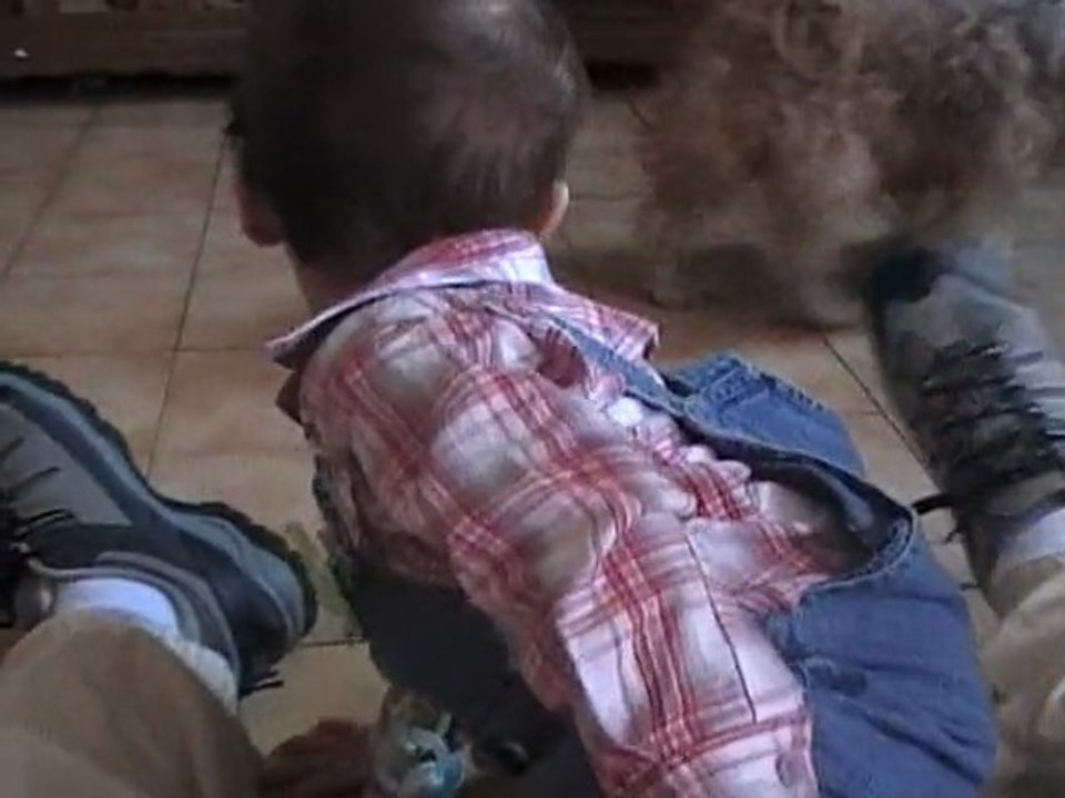 mes premiers pas suite