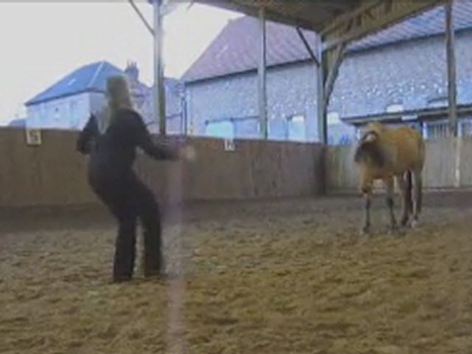 SUN - Séance Ethologie 26 février 2011