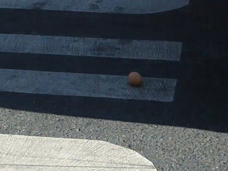 Me Myself and Eier - Ma Vie Mon Oeufre