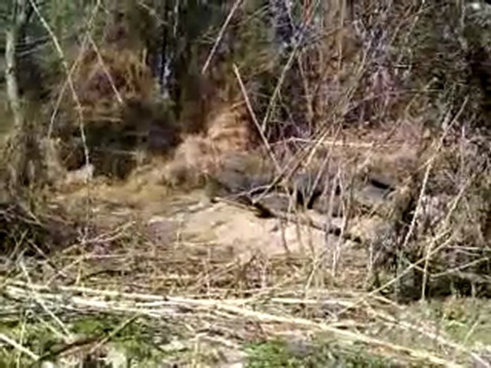 Partie du 06/03/2011-AT40(5)