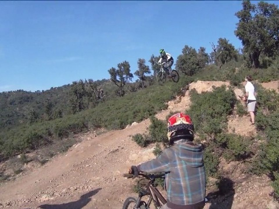 Maxima DH