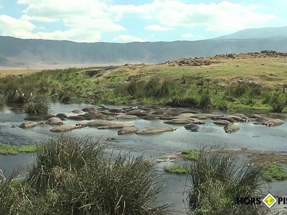 CRATERE NGORONGORO avec HORS PISTES