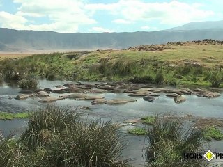 CRATERE NGORONGORO avec HORS PISTES