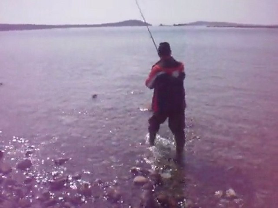 Hasan BALIKÇI  balikcilar.org