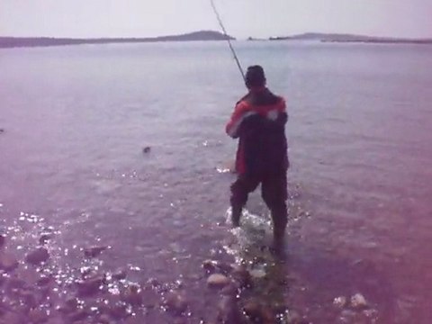 Hasan BALIKÇI balikcilar.org