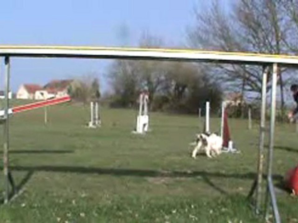 Entrainement 06 03 2011 Elfie