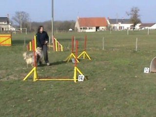 Entrainement 06 03 2011 Obi 1