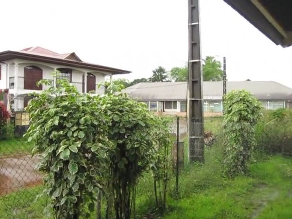 MVI_1005
