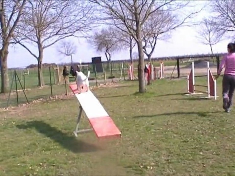 2011-03-06 Eclipse ECV