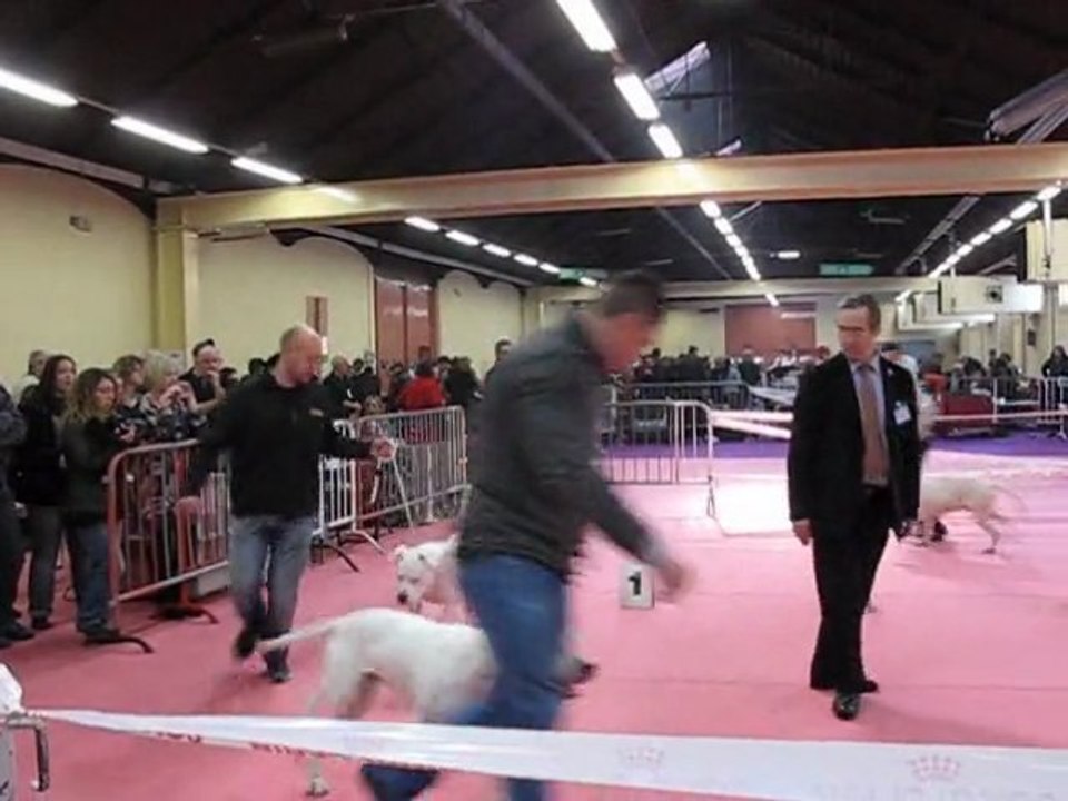 farc cerro de los condores à valence