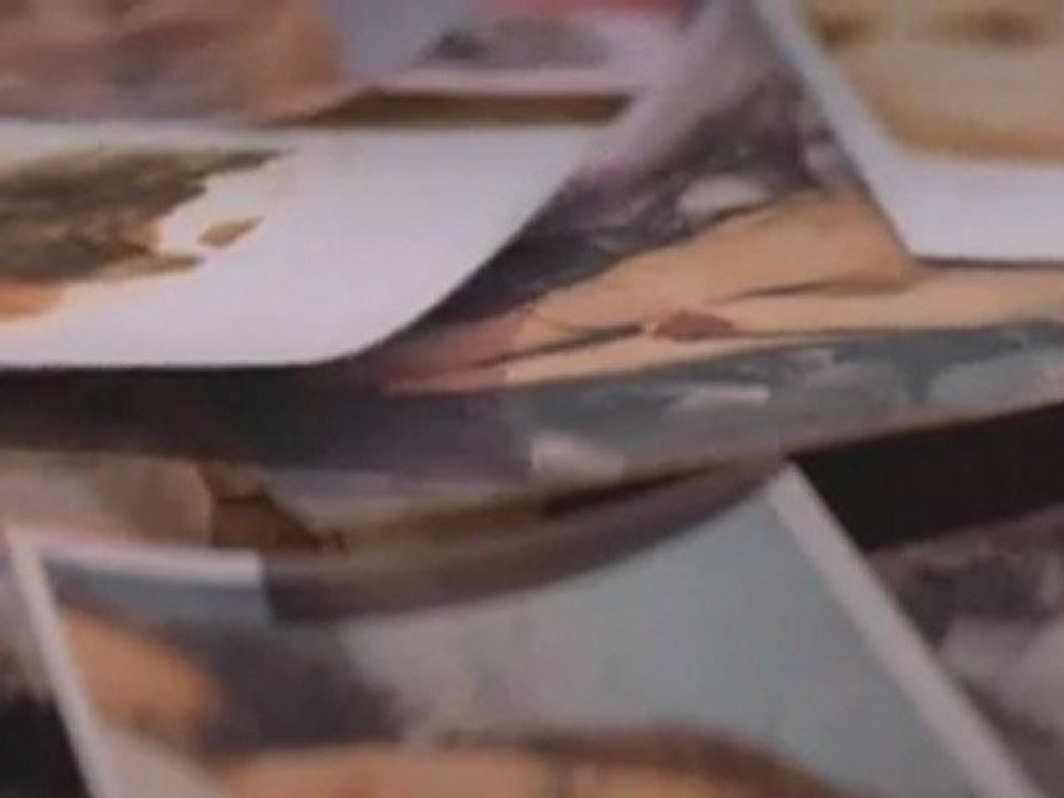 Selena Gomez & The Scene - A Year Without Rain