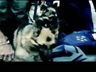 3_5  voyage au bout de l'enfer.La Havane