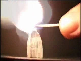 çoban yıldızı ve kardelen