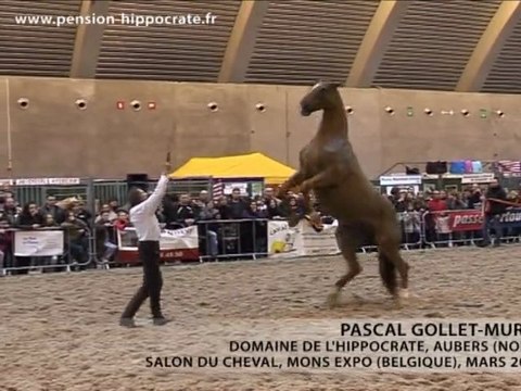 Pascal GOLLET-MURET - Mons Expo 2011