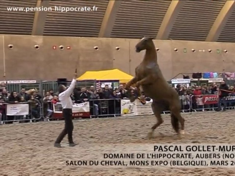 Pascal GOLLET-MURET - Mons Expo 2011
