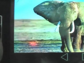 Tab T101: Android 2.2 Tablet PC, 8" Touch Screen, 512MB ...