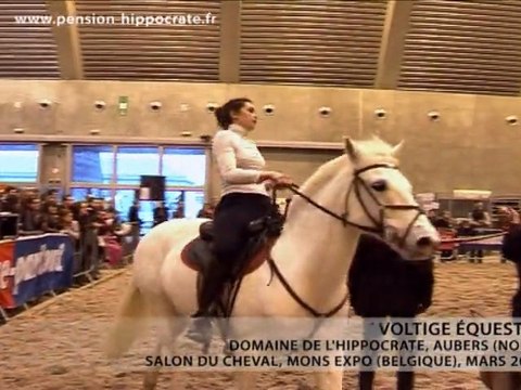 Voltige équestre - Salon du Cheval 2011