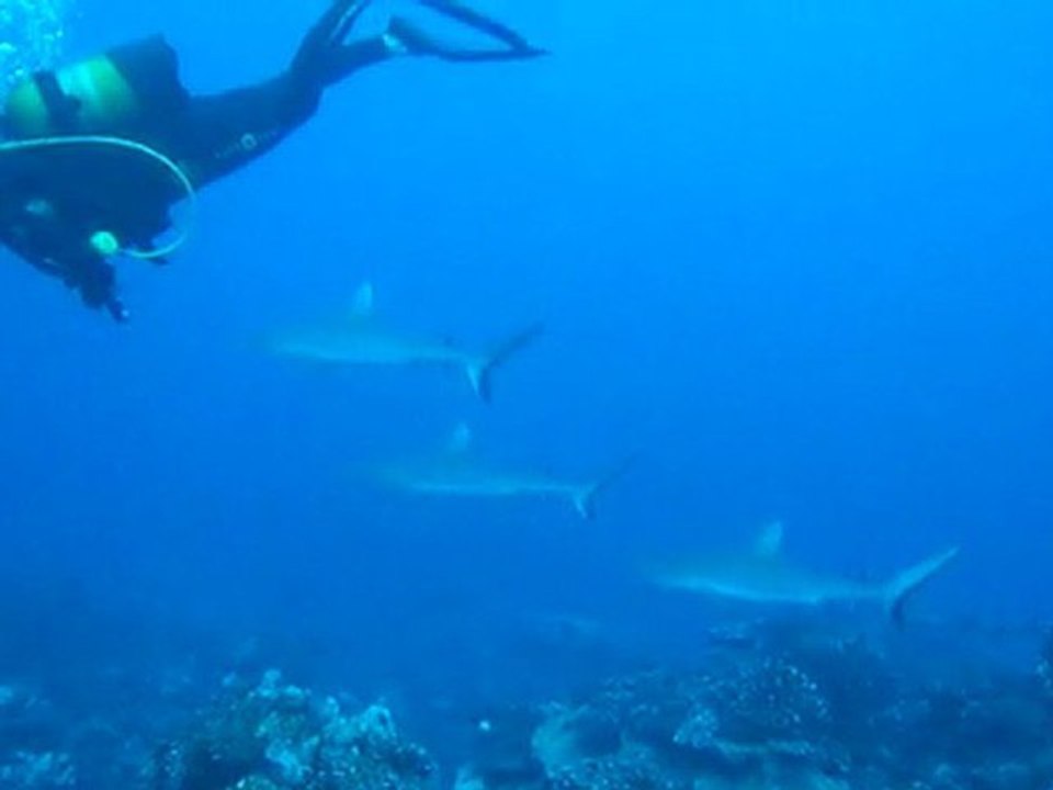 M4H01793.MP4
