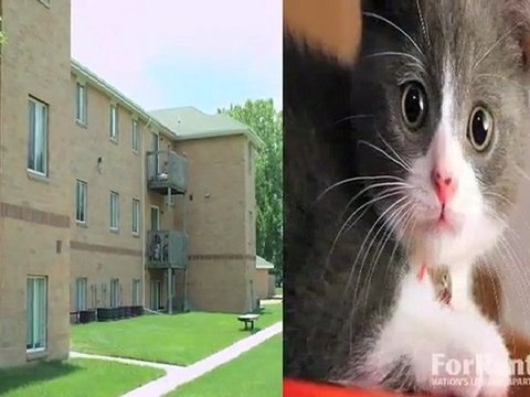 Pinetree Apartments in Lincoln, NE - ForRent.com