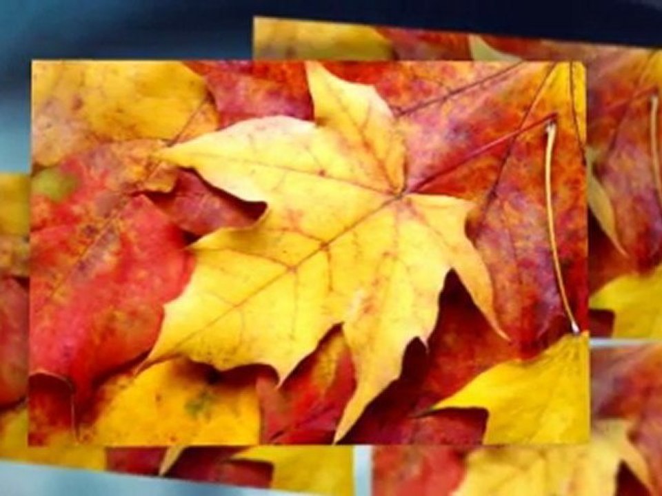 Sacramento Dentists, Sacramento Dental, Sacramento Dentistr