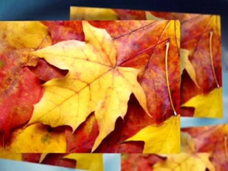 Sacramento Dentist, Sacramento Dental, Sacramento Dentistry