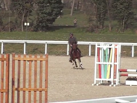 Entraînement Tipi 4ans Le Lion d'Angers 2011-03-07