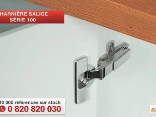 Charnière Série 100 Salice par QAMA