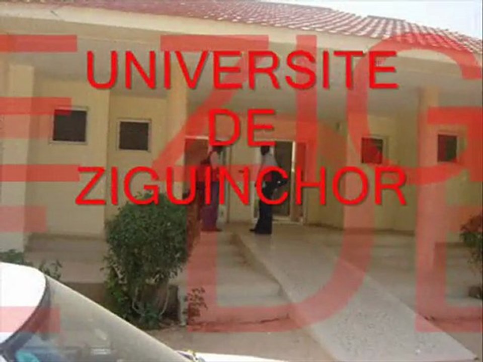 CAMPUS ZIG