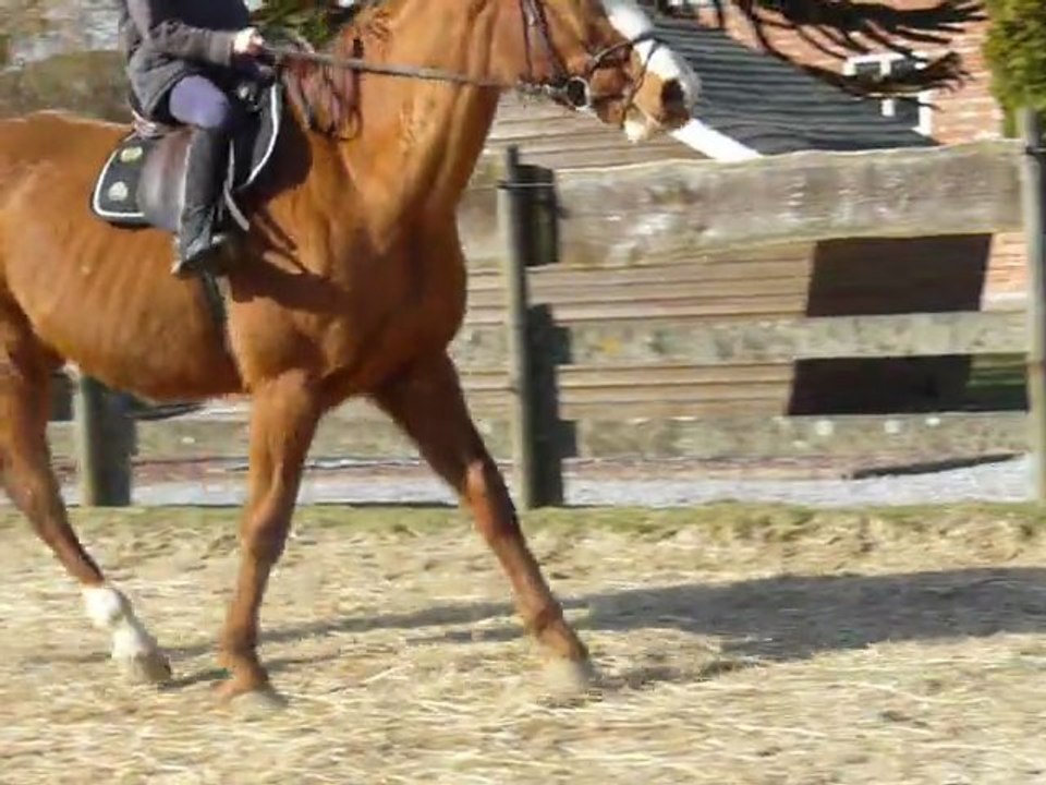 Jenthe au galop sur Promess (pour la première fois)