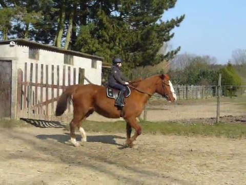 jenthe au trot sur Promess toute seule pour la première fois