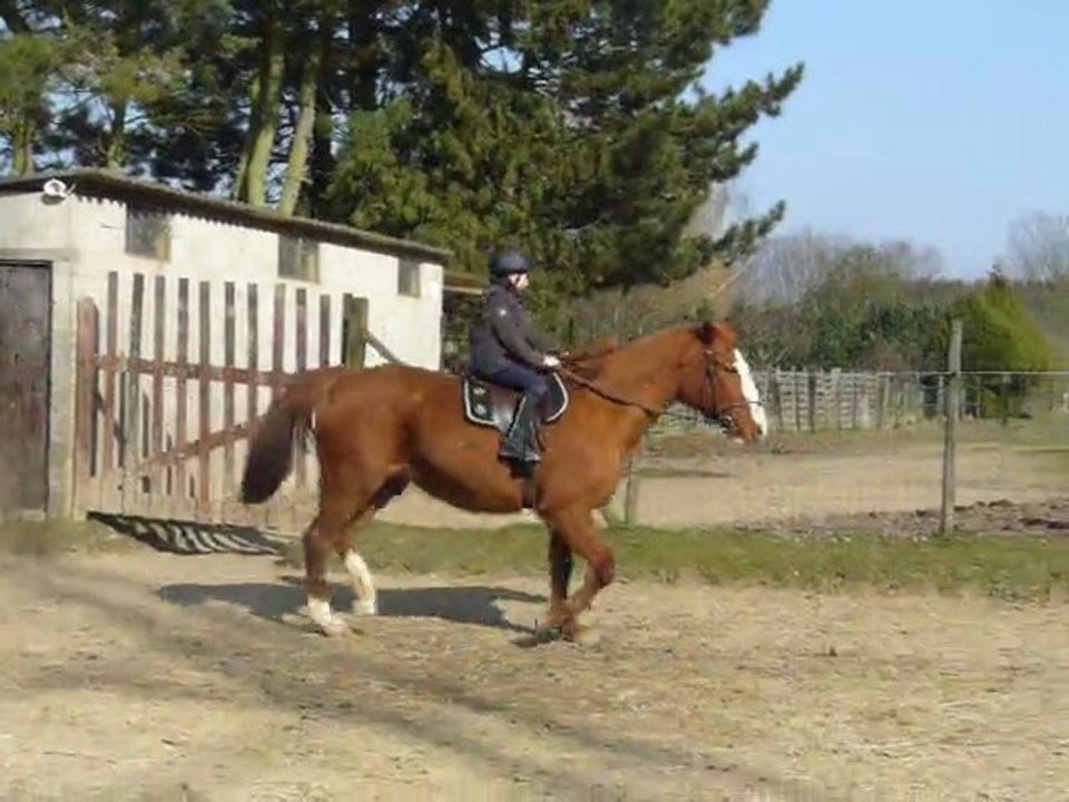 jenthe au trot sur Promess toute seule pour la première fois