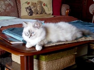 Flamby Chérie le  7 mars 2011