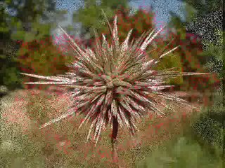 RÜZGARLARI DİNLE-rüzgarları dinle