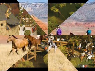 Cowboys and Indians Geert Wever