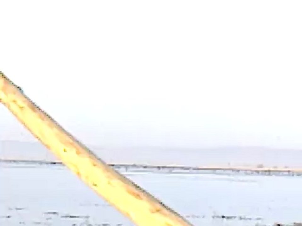 serdar av macerası6