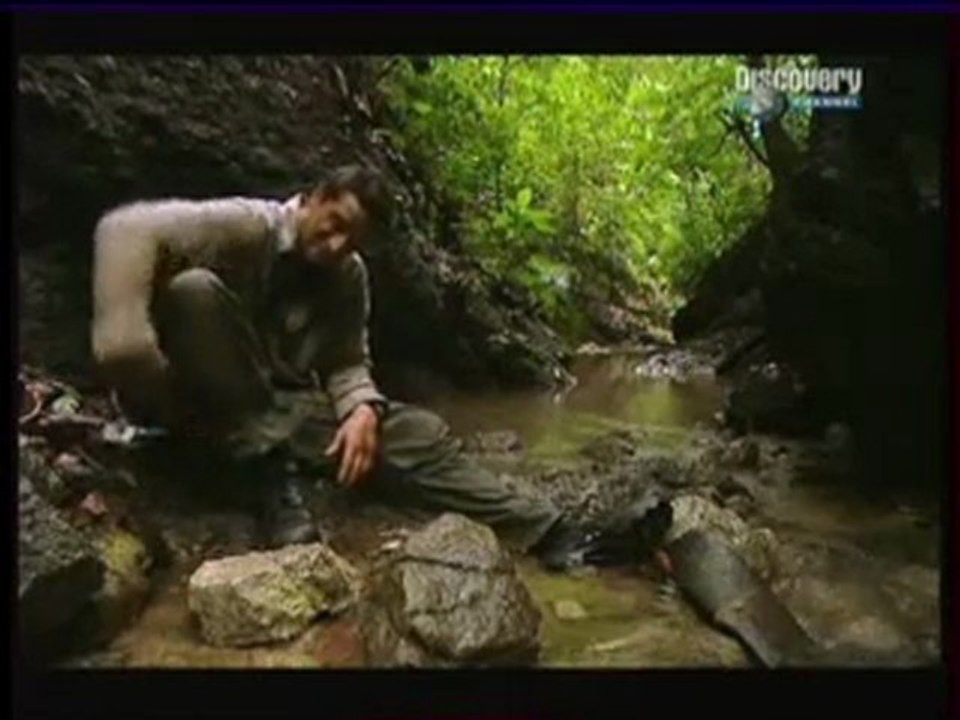 Seul face à la nature au Le Costa Rica partie 2