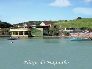 Puerto Rico 100 x 35 De Pura Belleza HD+3D